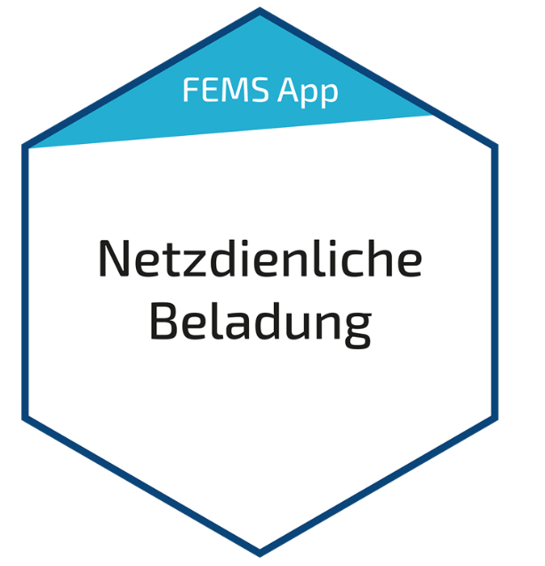 FEMS App Netzdienliche Beladung (FEM209)